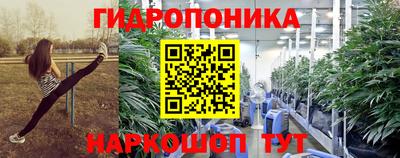 СК Новодвинск