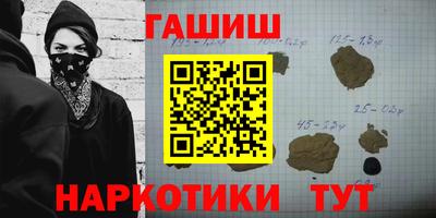СК Новодвинск